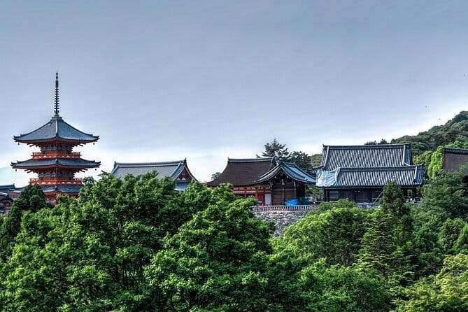 Discover Himeji, Kobe and Nara from Osaka - Meeting at Osaka Mode Gakuen at 8:00 a.m.