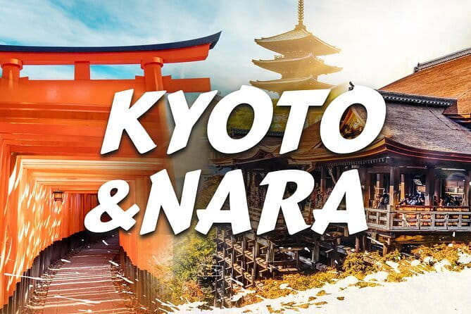 Discover Himeji, Kobe and Nara from Osaka - Nara Park: deer, temples, and an extra ticket