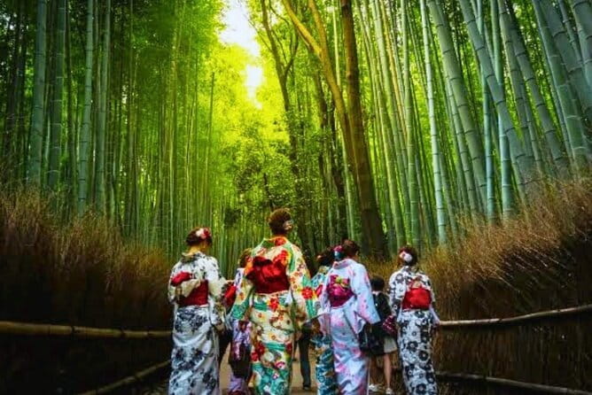 Discover Himeji, Kobe and Nara from Osaka - The bus ride back to Osaka