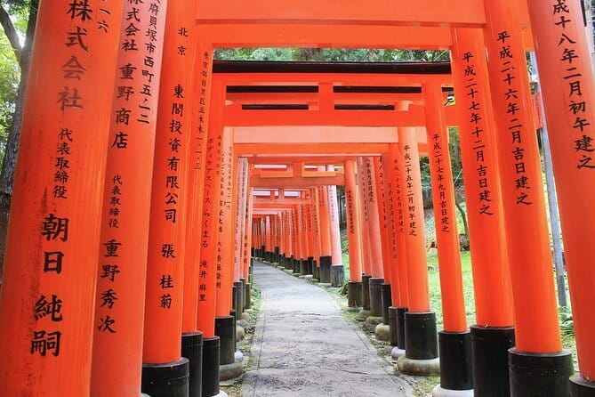 Discover Himeji, Kobe and Nara from Osaka - What the guiding is really like