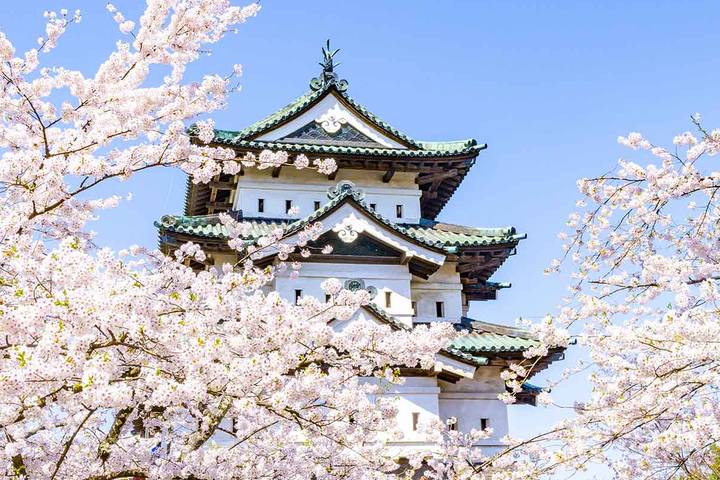Discover Japan by Europamundo - 15-Day Tour from Tokyo Review - What the price includes, and what it does not
