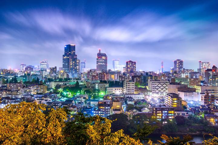 Discover Japan by Europamundo - 15-Day Tour from Tokyo Review - Tokyo begins with temples, crossings and city views