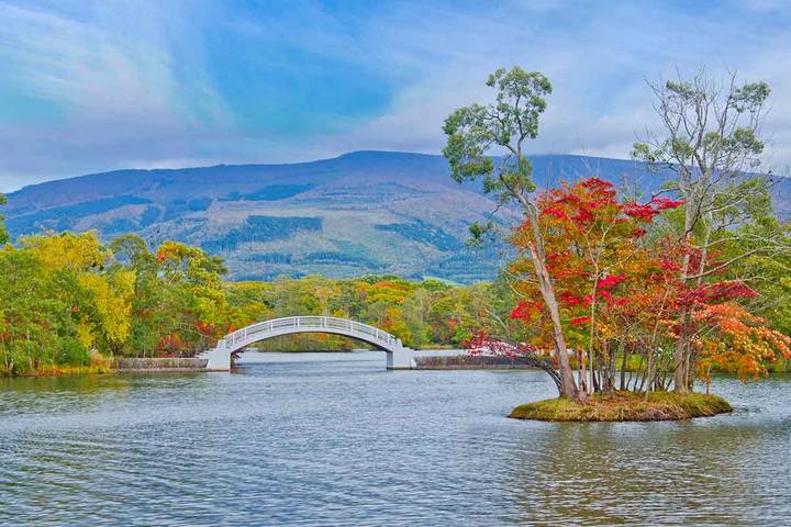 Discover Japan by Europamundo - 15-Day Tour from Tokyo Review - Sapporo, Otaru and Ainu culture