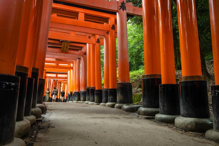 Discover Japan by G Adventures - 14-Day Tour from Tokyo Review - Price, meals, and what you’ll carry