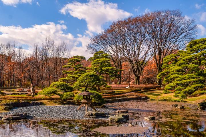 Discover Japan: Land of Tradition and Innovation by Apochi BV - 10-Day Tour - Hakone: safari, hot springs and a Fuji forecast