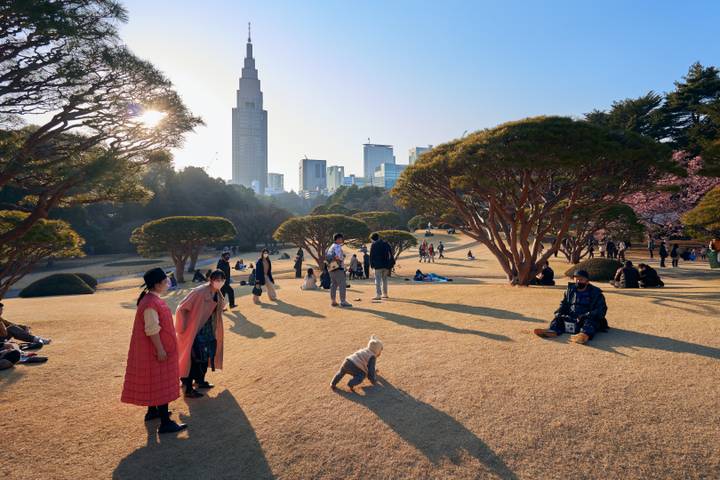 Discover Japan: Land of Tradition and Innovation by Apochi BV - 10-Day Tour - Kyoto: temples, bamboo and a tea ceremony