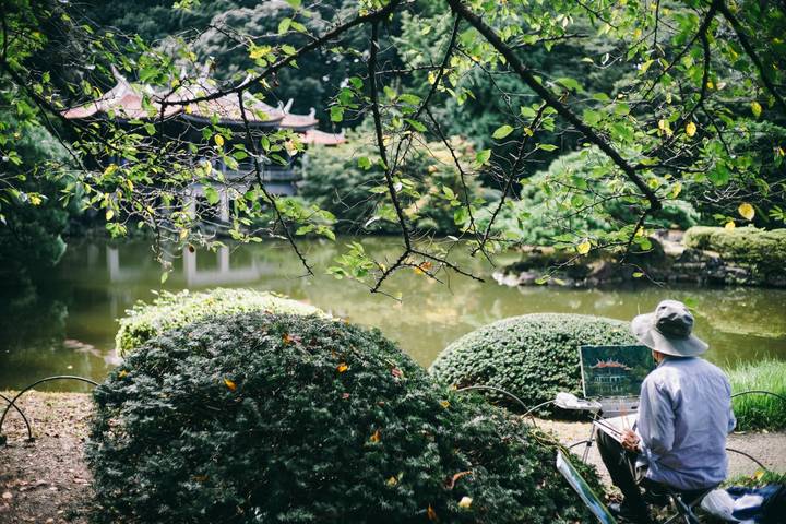 Discover Japan: Land of Tradition and Innovation by Apochi BV - 10-Day Tour - Tokyo: temples, cherry blossoms and TeamLab