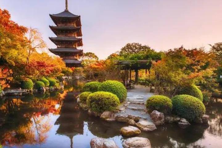 Discover Japan on a Budget: 8-Day Ultimate Starter by Vio Travel Review - Key points to know