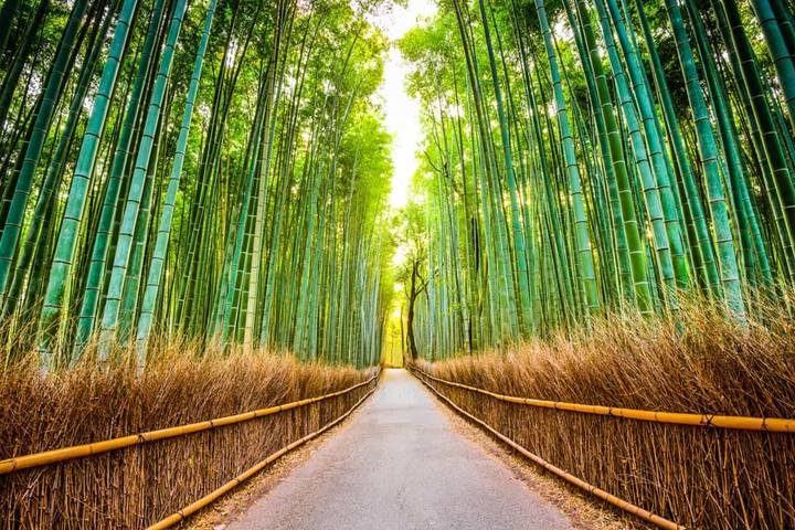 Discover Japan on a Budget: 8-Day Ultimate Starter by Vio Travel Review - Day 7: Osaka from the open-top bus