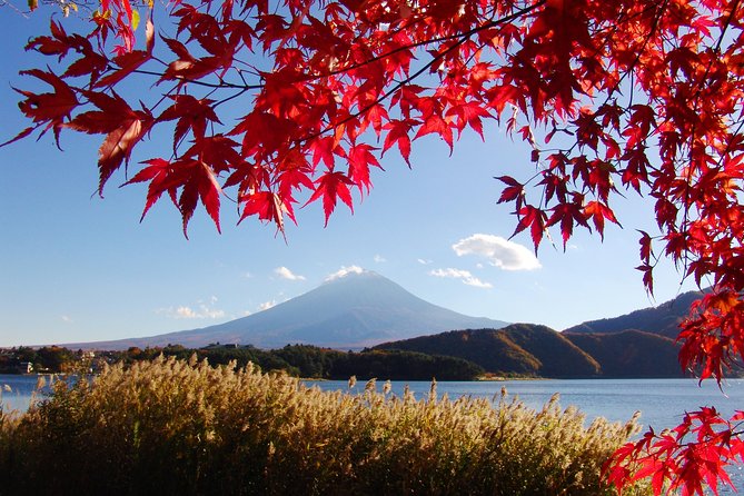 Discover Mt. Fuji 5th Station & Kawaguchiko Sightseeing Day Tour - Mt. Fuji 5th Station at 2,305 meters