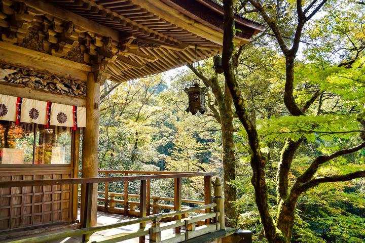 Discover the Best of Japan in 9 Days by Bravo Indochina Tours Review - Kyoto’s temples and Arashiyama in one day