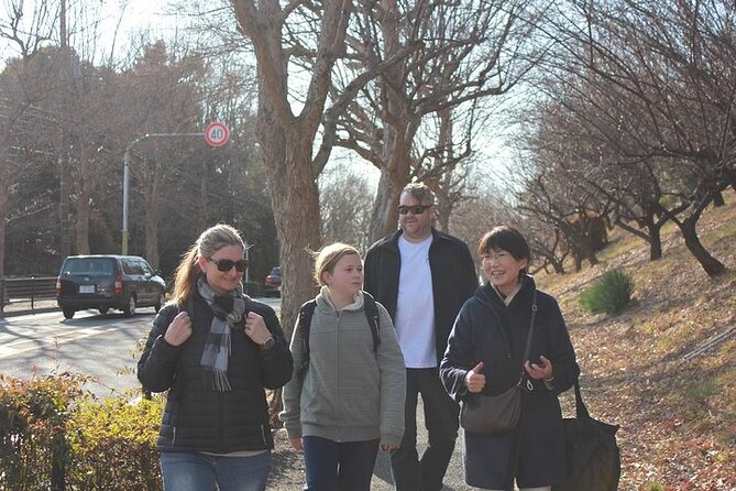 Discover Tokyo, Private Customized Tour with Expert Guides - Why this private Tokyo tour can make sense