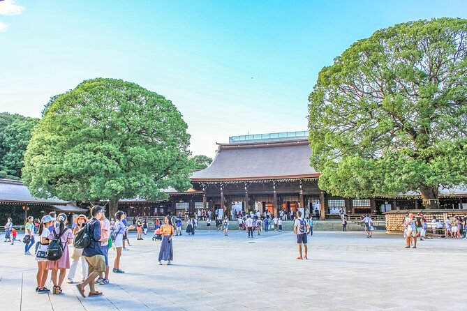 Discover Tokyo, Private Customized Tour with Expert Guides - Tokyo Tower, the city symbol