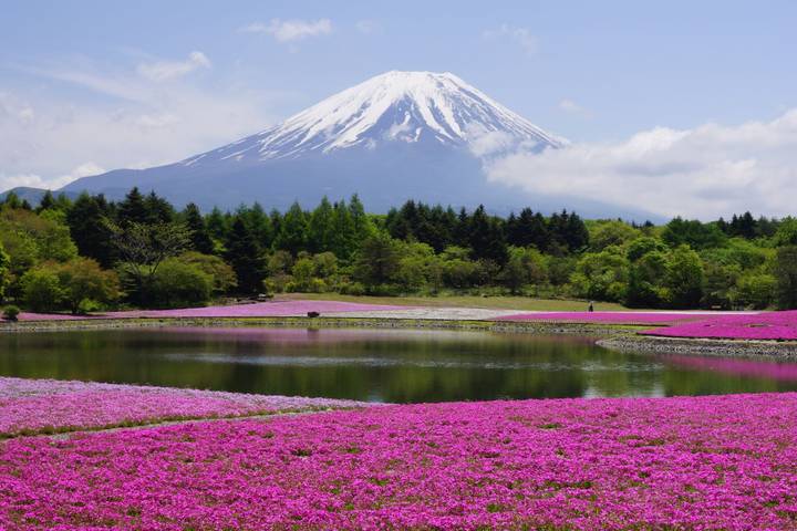 Discovering Kamakura and Mount Fuji by Europamundo - 2-Day Tour Review - A boat ride on Lake Kawaguchiko
