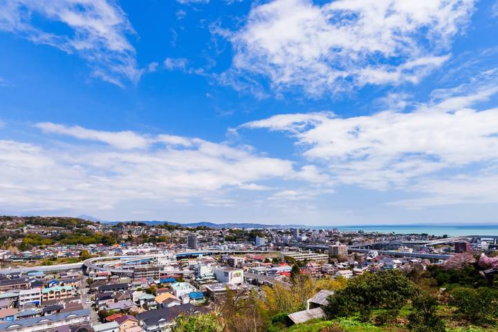 Discovering Kamakura and Mount Fuji by Europamundo - 2-Day Tour Review - Guides, group size and the coach experience