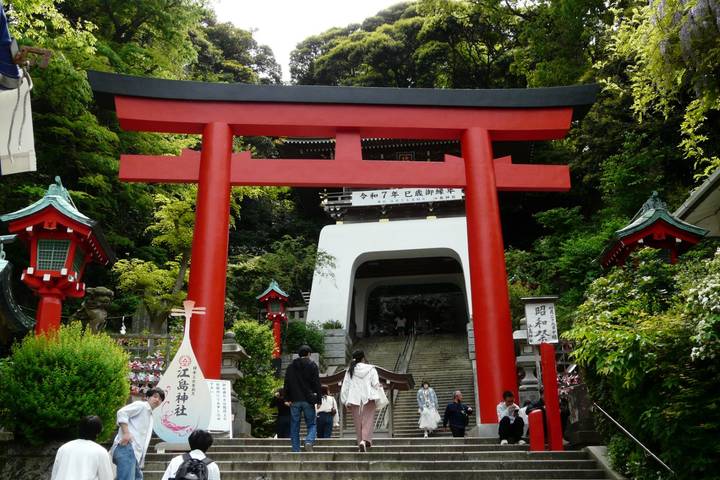 Discovering Kamakura and Mount Fuji by Europamundo - 2-Day Tour Review - Is $476 good value for two days?