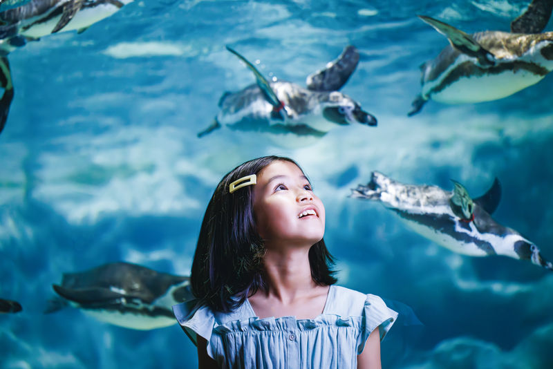 DMM Kariyushi Aquarium Ticket in Okinawa - What to know before you go