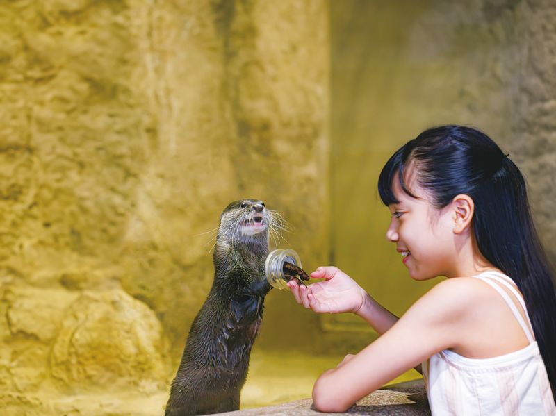 DMM Kariyushi Aquarium Ticket in Okinawa - How long to spend, and what the ticket costs