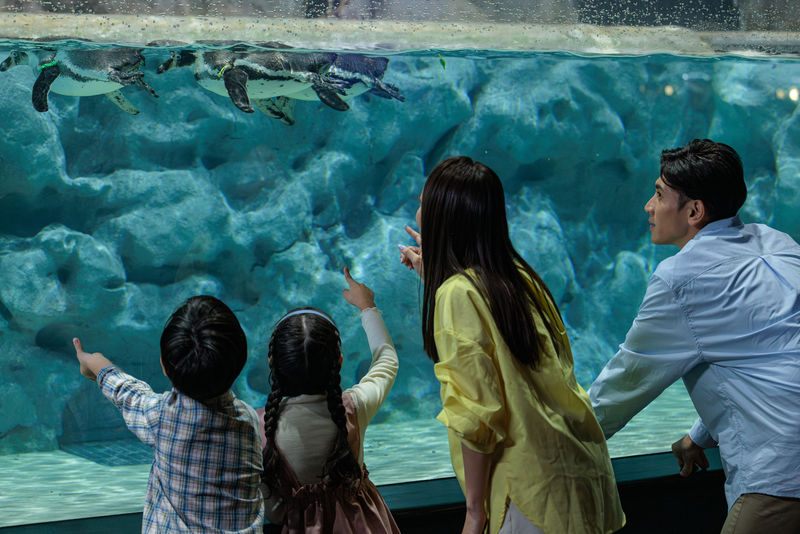 DMM Kariyushi Aquarium Ticket in Okinawa - Getting in smoothly and checking the hours
