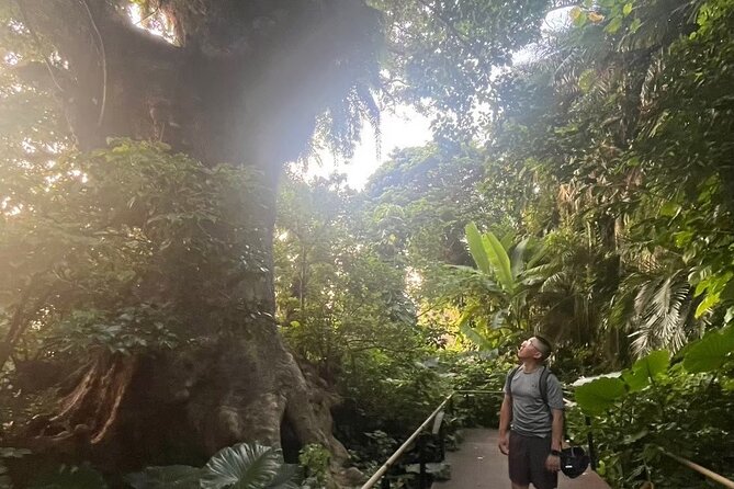 E-Bike Nature Tour in Shuri - Key points to know before booking