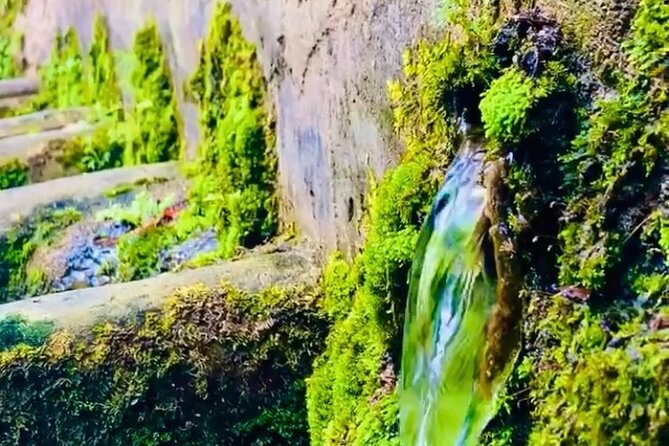 E-Bike Nature Tour in Shuri - Why this e-bike tour gives you a different Naha