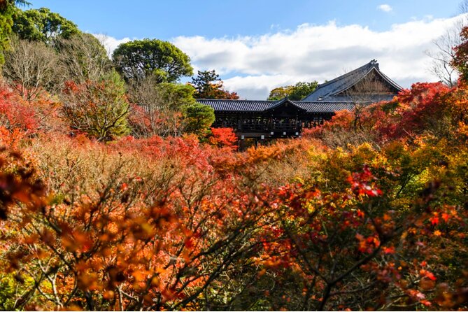 Early Bird E-biking through East Kyoto - The Kamogawa River makes the ride worthwhile