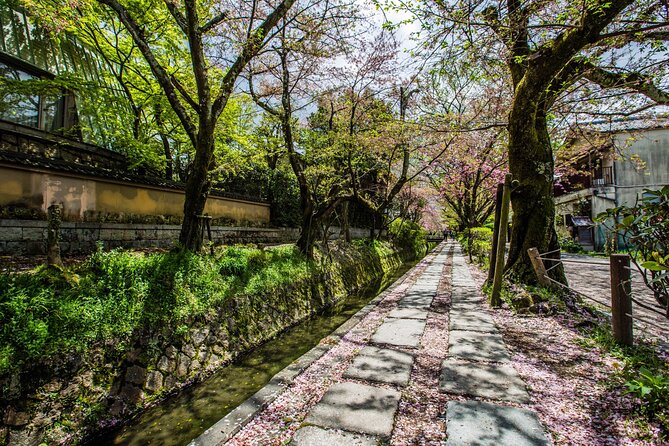 Early Bird E-biking through East Kyoto - Ginkakuji and lunch near the Silver Pavilion