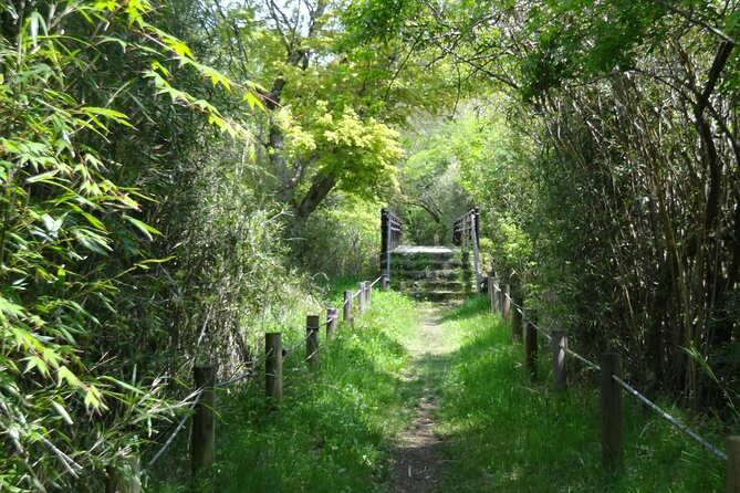 Easygoing Nature Walk in Hakone Tour - Key points to know before booking