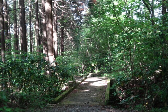 Easygoing Nature Walk in Hakone Tour - Learning the area at Hakone Visitor Center