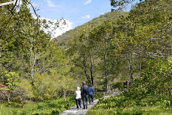 Easygoing Nature Walk in Hakone Tour - Who should choose this nature walk?