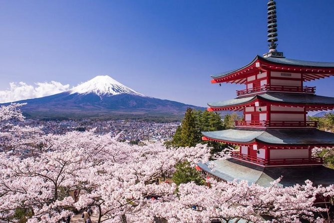 Enjoy Mt. Fuji View and free time shopping at Gotemba Outlets! - Key points at a glance