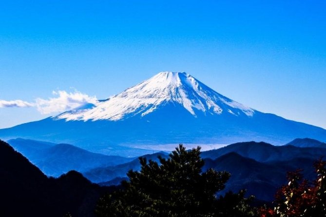Enjoy Mt. Fuji View and free time shopping at Gotemba Outlets! - Why this Tokyo to Fuji trip is worth considering