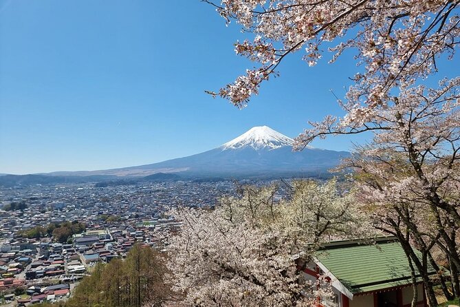 Enjoy Mt. Fuji View and free time shopping at Gotemba Outlets! - Gotemba Premium Outlets for shopping and lunch