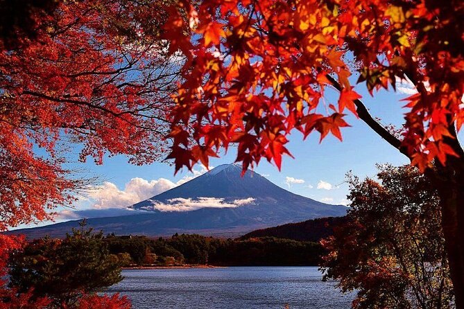 Enjoy Mt. Fuji View and free time shopping at Gotemba Outlets! - Guides, transport, and the group-tour rhythm