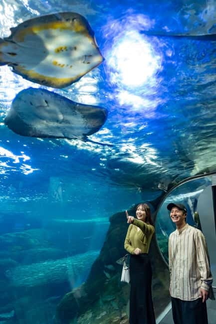 Enoshima Aquarium: Admission Ticket - Key points to know before you go