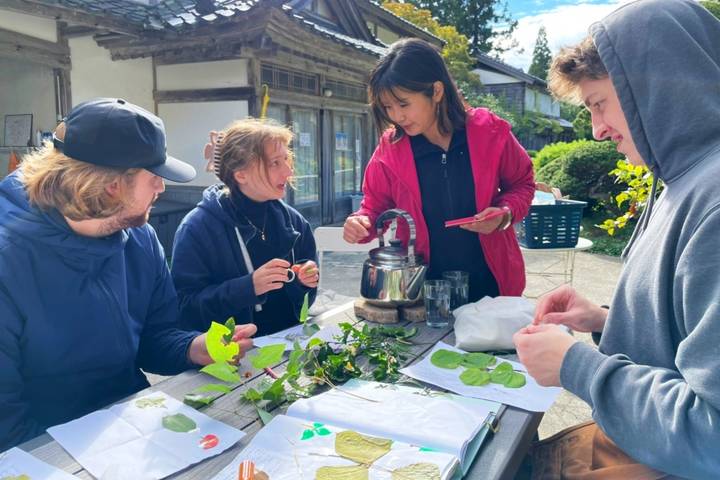 Environmental Conservation Volunteering, Cultural Immersion and Temple Stay on Sado Island by World Unite Japan - The $670 Fee: What It Covers and What It Does Not