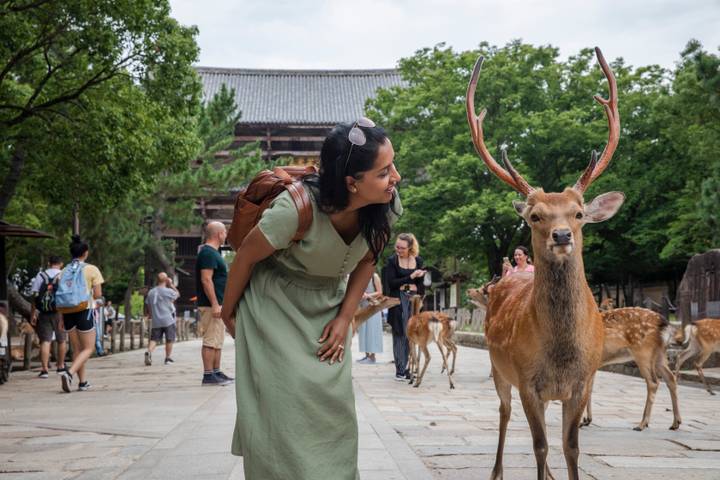Epic Japan: Speed Trains & Street Food by G Adventures - 11-Day Tour Review - What the price covers, and what you’ll pay for yourself