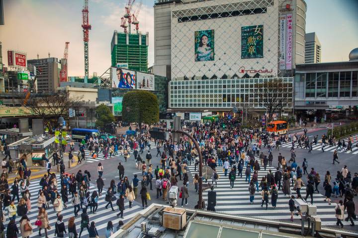 Epic Japan: Speed Trains & Street Food by G Adventures - 11-Day Tour Review - Who should book this Japan trip?