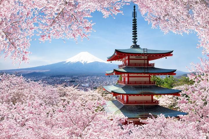 Essence of Japan 8 Days 7 Nights by UTOvacation - Osaka to Tokyo Tour Review - Key points before you book