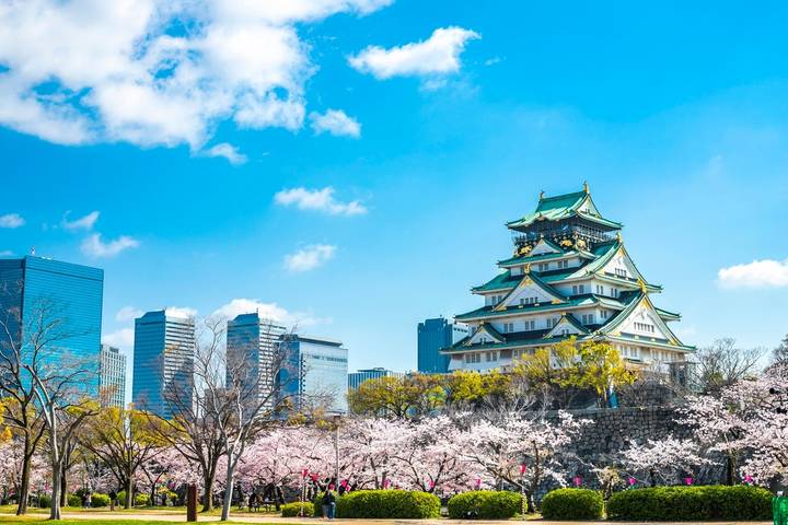 Essence of Japan 8 Days 7 Nights by UTOvacation - Osaka to Tokyo Tour Review - Osaka starts with an airport transfer and a free evening