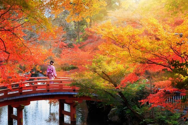 Essence of Japan 8 Days 7 Nights by UTOvacation - Osaka to Tokyo Tour Review - Kyoto’s free day: choose a focused plan