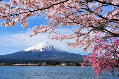 Essence of Japan 8 Days 7 Nights by UTOvacation
