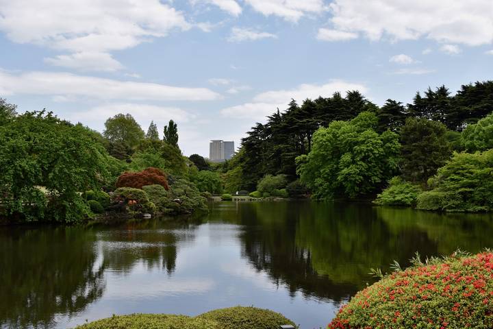 Essence of Japan by Across Africa Tours & Travel - 14-Day Tour Review - What the price covers, and where to look closely
