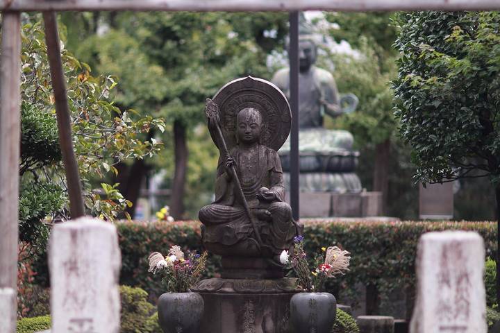 Essence of Japan by Across Africa Tours & Travel - 14-Day Tour Review - Who should book this Japan route