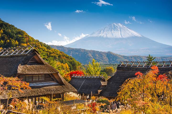 Essential Japan and Hakone by Europamundo - 8-Day Tour Review - Who should book this Japan route?