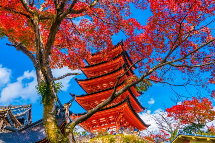 Essential Japan and Hakone end Hiroshima (including Hakone) by Europamundo - 10-Day Tour - A village museum, waterfalls and a Toyota stop