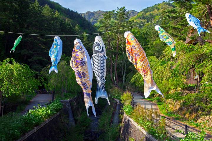 Essential Japan and Hakone end Tokyo by Europamundo - 11-Day Tour Review - Kamakura, Enoshima and Odawara: temples and coast