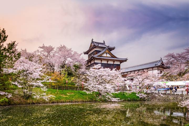 Essential Japan by Travel Talk - 8-Day Tokyo to Osaka Tour Review - Key points to know before booking