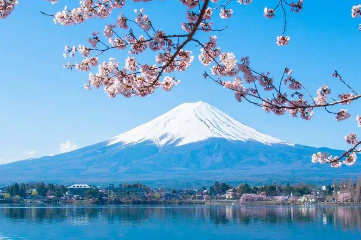 Essential Japan by Travel Talk - 8-Day Tokyo to Osaka Tour Review - Tokyo starts with temples, gardens, and city streets
