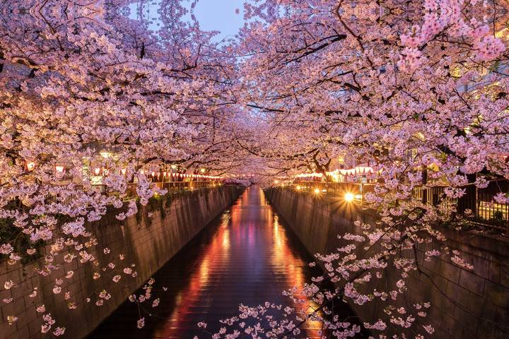 Essential Japan by Travel Talk - 8-Day Tokyo to Osaka Tour Review - Himeji Castle and Hiroshima’s memorial sites